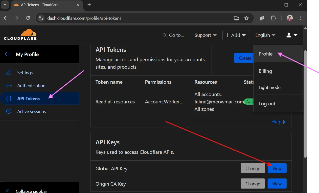 Cloudflare API key location
